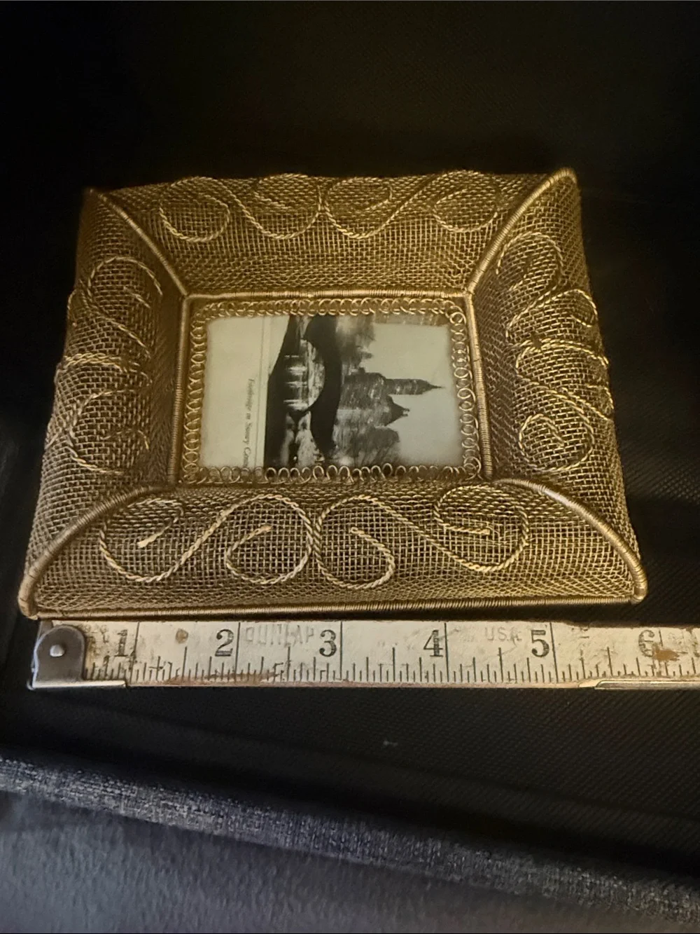 Pier 1 Puffed Mesh Gold Decorative Photo Frame -OSP
